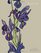 Purple Iris Large 8.5 x 11 2015 Monthly Planner (2015 Day Planners, Organizers, & Calendars) (Volume 17)