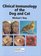 Clinical Immunology of the Dog and Cat (A Color Atlas)