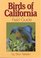 Birds of California (Our Nature Field Guides)