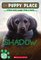 Shadow (Puppy Place, Bk 3)