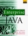 Enterprise Java: Where, How, When (And When Not) to Apply Java in Client/Server Business Environments (Java Masters)