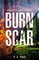Burn Scar