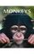 Monkeys: A Captivating Look at These Fascinating Animals