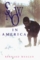 Snow in America