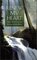 Renew My Heart: Daily Wisdom from the Writings of John Wesley