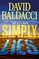 Simply Lies (Mickey Gibson, Bk 1)