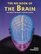 Big Book of the Brain