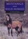 Mustangs and Wild Horses (Learning About Horses)