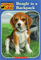Beagle in a Backpack (Animal Ark, Bk 45)