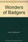 Wonders of Badgers