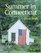 Summer in Connecticut : A Positively Connecticut Book