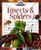 Insects  Spiders (Nature Company Discoveries Libraries)