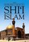 An Introduction to Shi'i Islam : The History and Doctrines of Twelver Shi'ism