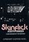 Skinflick (Dave Brandstetter, Bk 5)