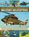 An Illustrated A-Z Directory of Military Helicopters: Featuring over 80 helicopters shown in more than 300 historical and modern photographs