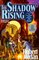 The Shadow Rising (Wheel of Time, Bk 4)