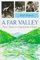 A Far Valley: Four Years in a Japanese Village