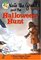 Nate the Great and the Halloween Hunt (Nate the Great, Bk 11)