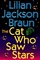 The Cat Who Saw Stars (Cat Who...Bk 21)