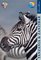Travellers Tanzania (Travellers - Thomas Cook)