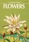 Flowers : A Guide to Familiar American Wildflowers (Golden Guide)