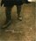 Andrew Wyeth : Memory  Magic