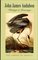 John James Audubon (Gift Edition): Writings and Drawings (Library of America, 113)