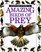 Amazing Birds of Prey (Eyewitness Junior)