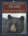 The Moon of the Bears (Thirteen Moons Series)