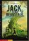 Jack and the Beanstalk: The Graphic Novel (Graphic Spin (Quality Paper))