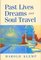 Past Lives, Dreams, and Soul Travel