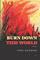Burn Down This World: A Novel
