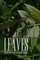Leaves: Collected Plays of Alan Calaby