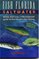 Fish Florida Saltwater : Better Than luck - The Foolproof Guide to Florida Saltwater Fishing