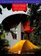 House Design (Volume Geometry Color)
