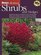 Shrubs and Hedges (Ortho's All About Gardening)