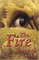 The Fire Eternal (Last Dragon Chronicles, Bk 4)