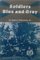 Soldiers Blue and Gray (American Military History)