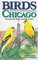 Birds of Chicago (U.S. City Bird Guides)
