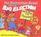 The Berenstain Bears and the Big Election