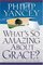What's So Amazing about Grace?: International Edition