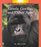 Gentle Gorillas and Other Apes (Rookie Read-About Science)