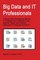 Big Data and IT Professionals: A Study of the Perceptions Held by IT Professionals in Relation to the Maturity, Value, and Practical Deployment of Big Data Solutions