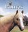 The Best Book of Ponies (The Best Book Of)