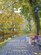 Anatomy of a Park: Essentials of Recreation Area Planning and Design, Fourth Edition