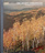 The ANcient Adirondacks - TIme-Life  American wilderness System