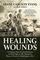 Healing Wounds: A Vietnam War Combat Nurse's 10-Year Fight to Win Women a Place of Honor in Washington, D.C.