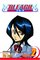 Bleach, Vol 2