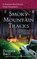 Smoky Mountain Tracks (Raine Stockton Dog Mystery, Bk 1)