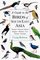 A Guide to the Birds of Southeast Asia
